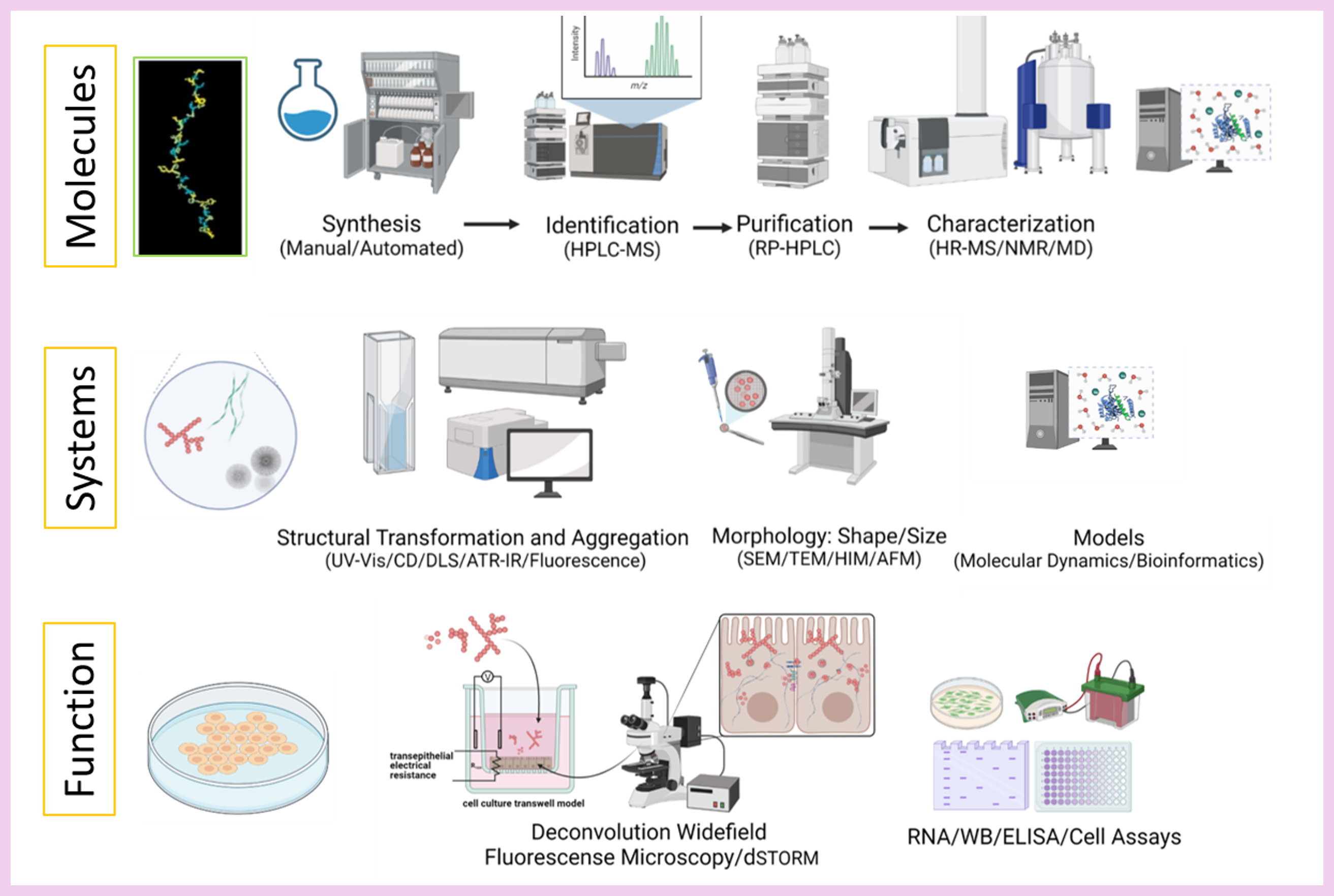 SupraMed research diagram
