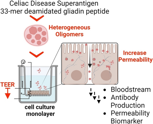 Angewandte Chemie paper figure